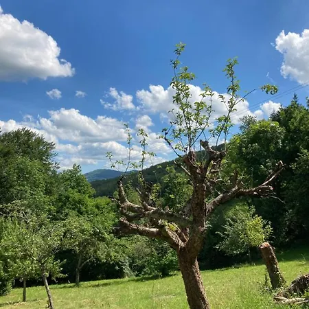 Le Bois Du Four Arfeuilles