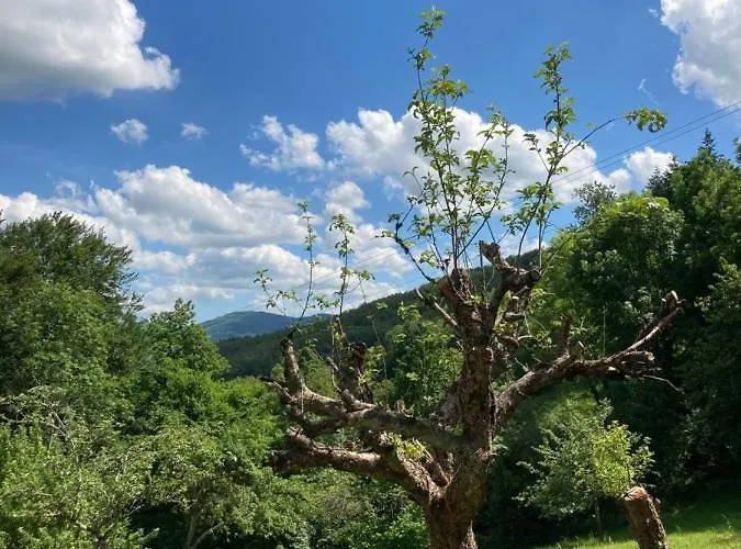 Le Bois Du Four Arfeuilles